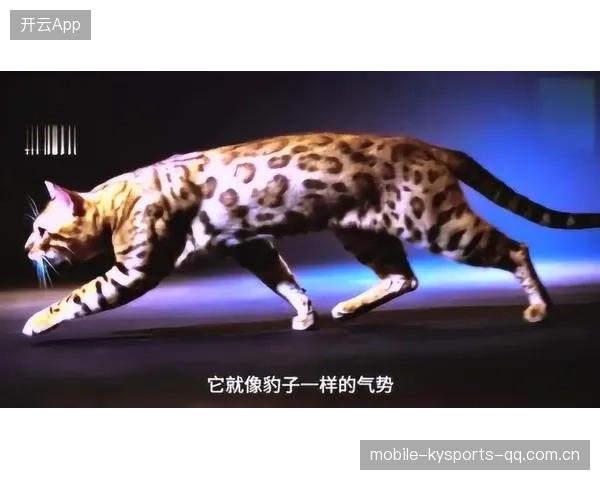 广州豹10分优势无人能撼——超越极限的“狮子王”实力